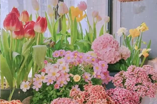 6種「耐寒花」，冬日挺立成「寶樹」，春風一吹雪花紛飛！