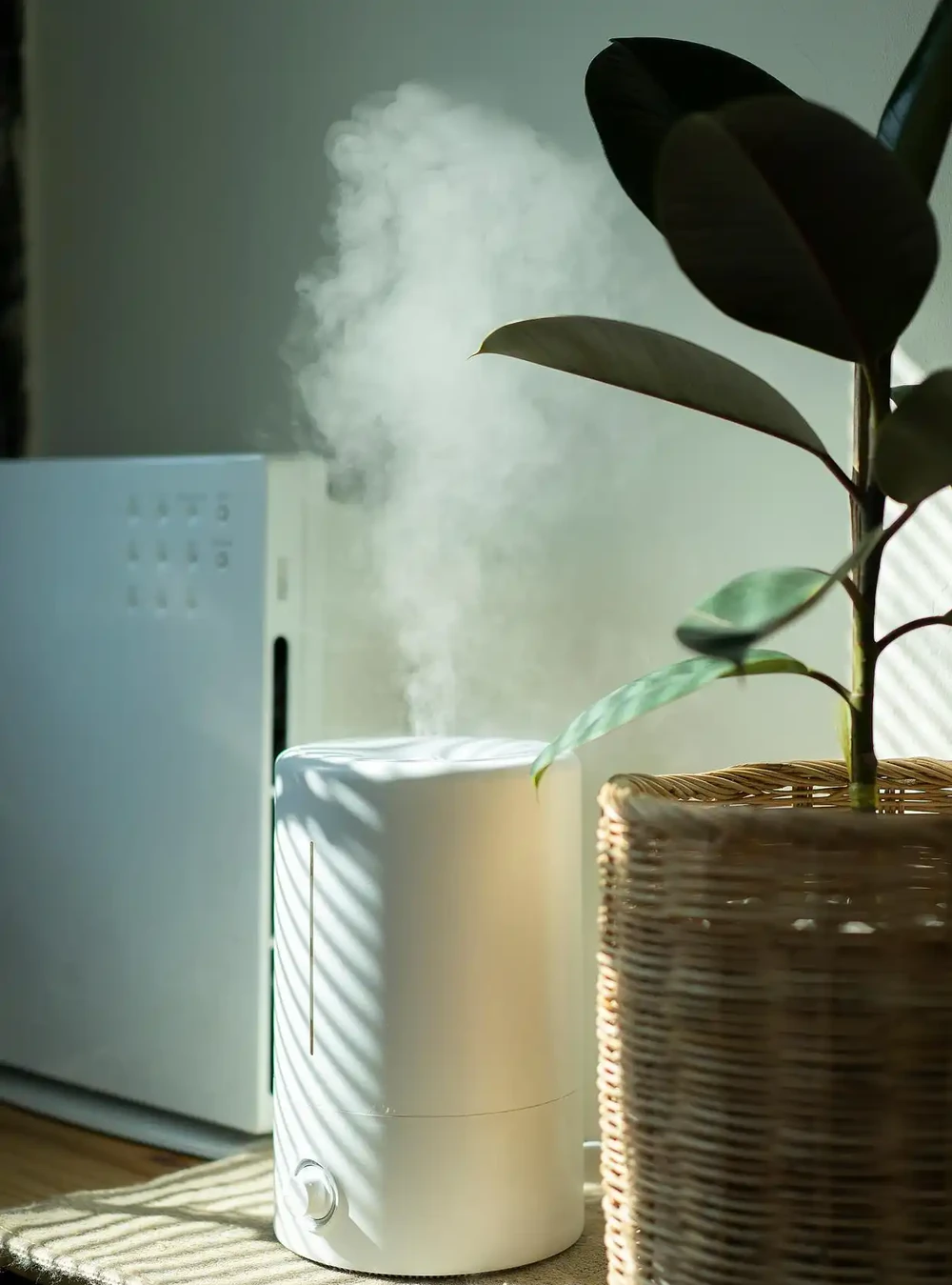 加溼器