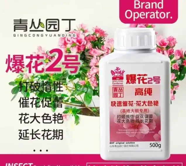 玫瑰花施肥全攻略:科學餵養打造爆花機器