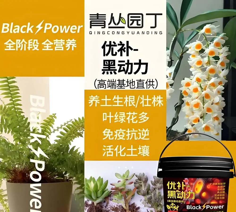 發財樹總掉葉子？家庭養護全解析與救活指南