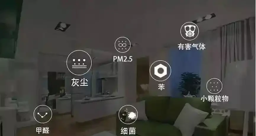 8種自帶空氣清淨機的家居綠植,空氣淨化小妙招