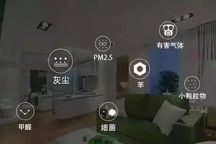 8種自帶空氣清淨機的家居綠植，空氣淨化小妙招