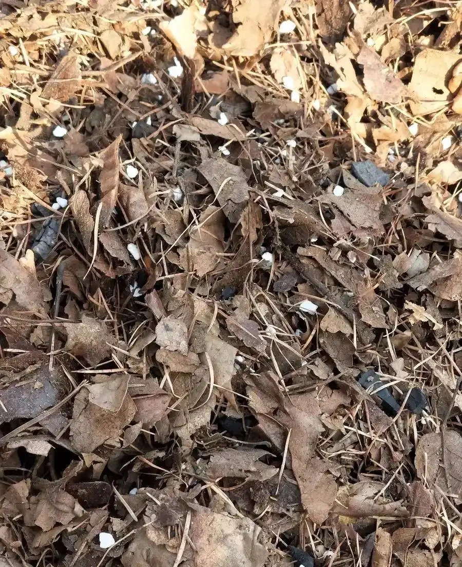 養花必備「三大寶土」,疏鬆透氣,讓花兒瘋長滿盆!