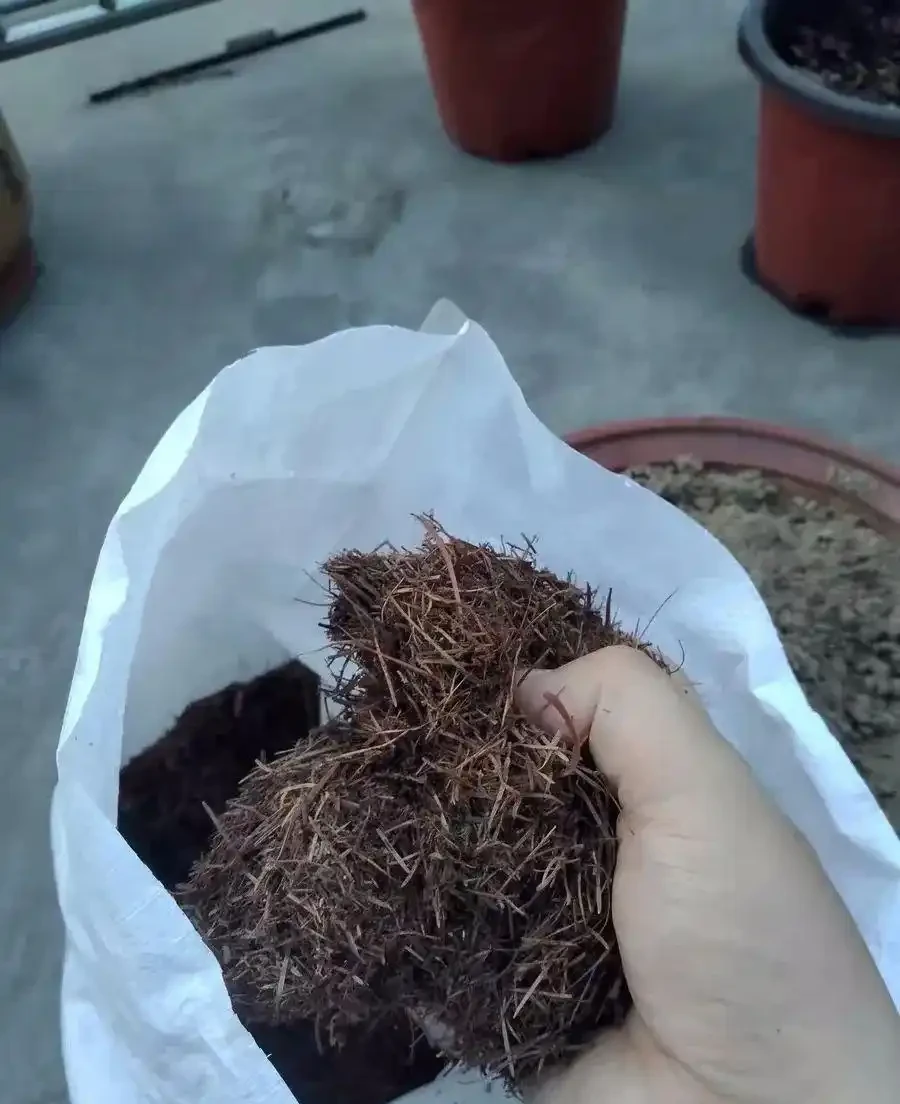 養花必備「三大寶土」,疏鬆透氣,讓花兒瘋長滿盆!