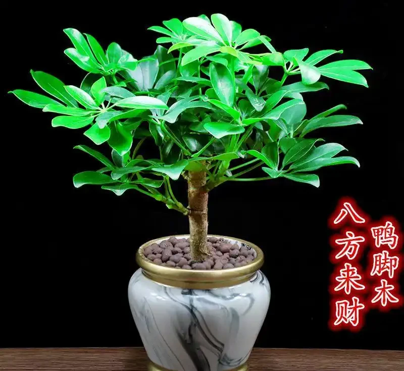 人生啟示