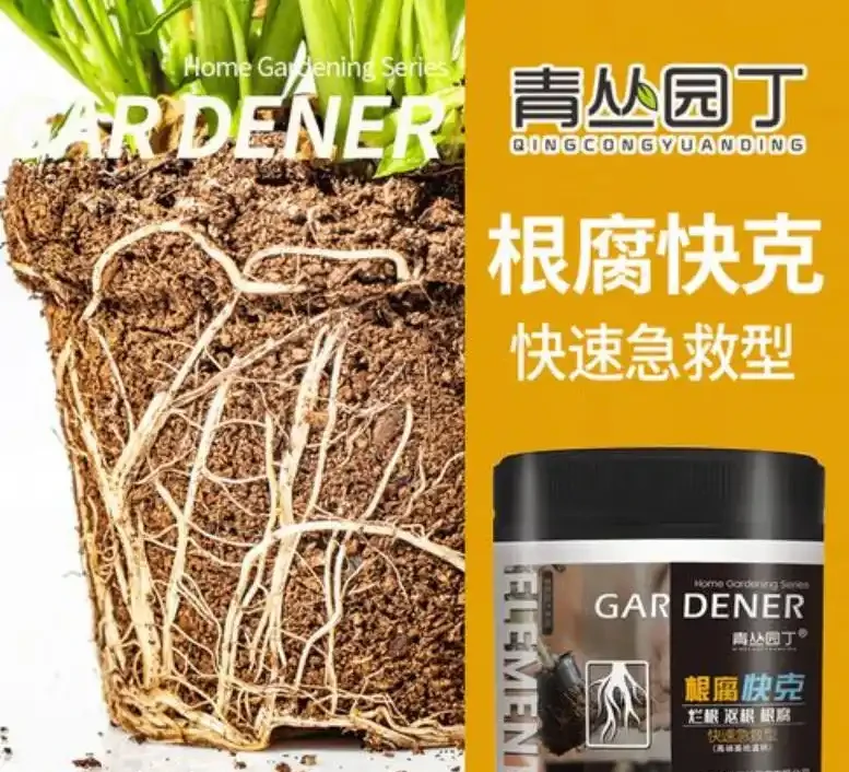黃金葛大面積黃葉的全面分析與拯救指南