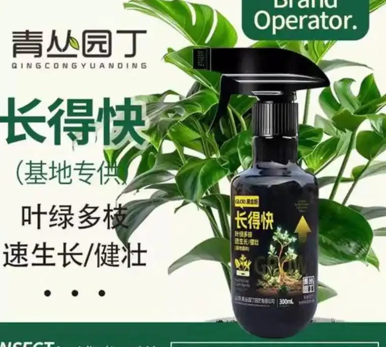 辦公桌綠植指南：5種適合上班族的桌面「小清新」
