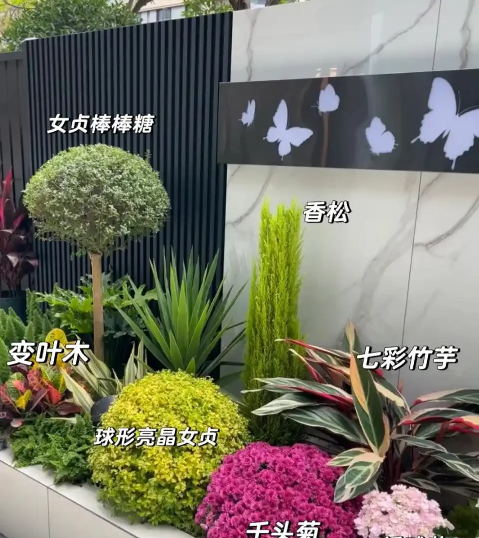 10種庭院綠植搭配法,連鄰居都來抄作業!