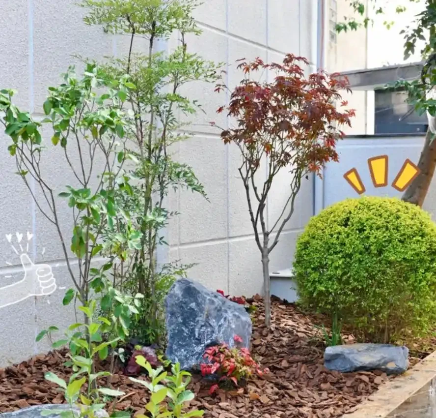 10種庭院綠植搭配法,連鄰居都來抄作業!