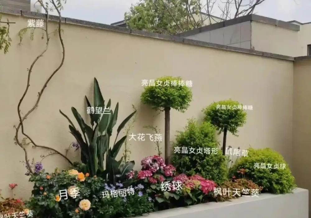 10種庭院綠植搭配法,連鄰居都來抄作業!