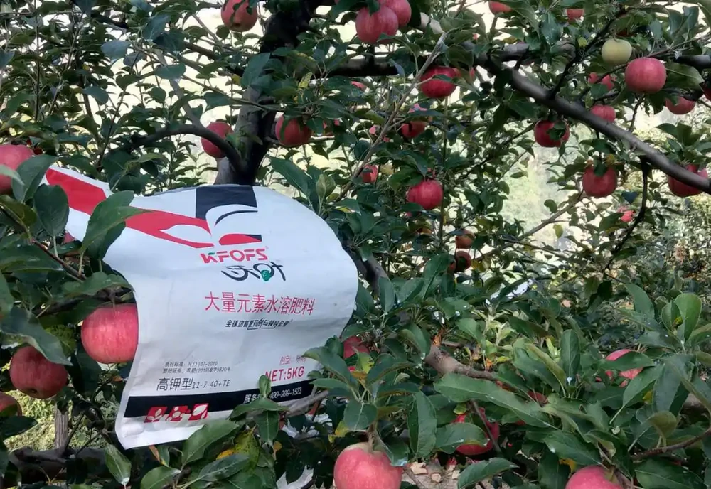 果樹施肥:把握時機,精準施策