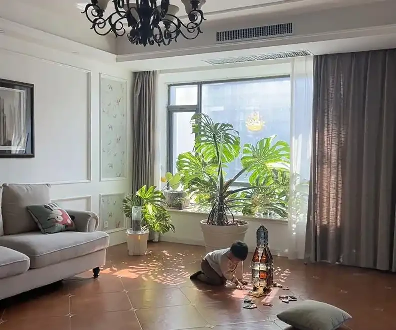 我在客廳養了一盆龜背芋，成了兒子的「好朋友」，又美又治癒
