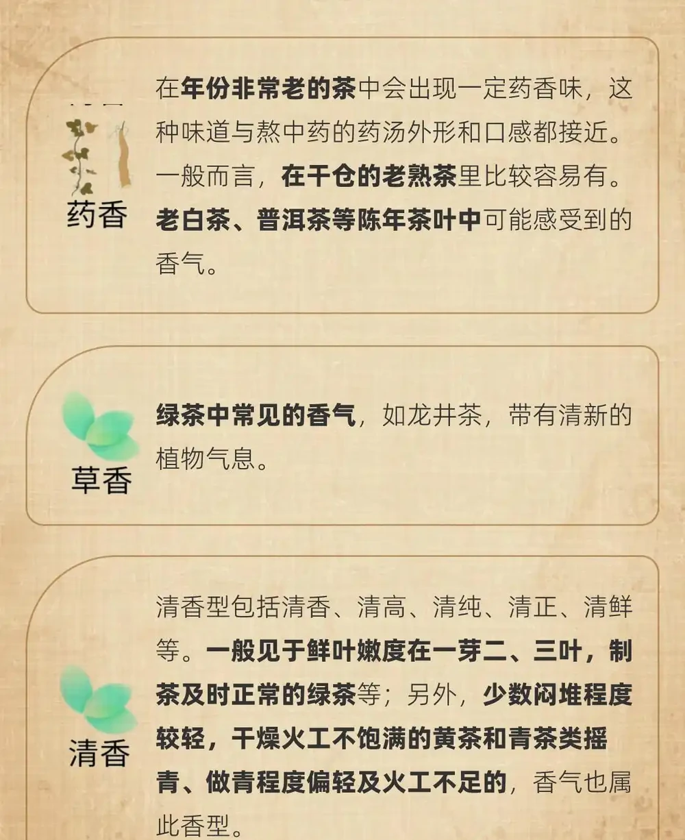 茶葉37種香氣全解析|看完秒變品茶達人