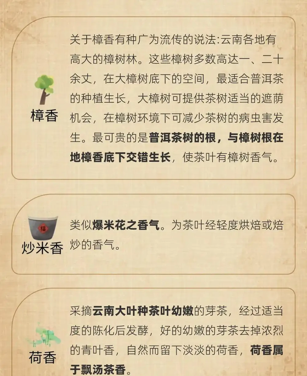 茶葉37種香氣全解析|看完秒變品茶達人