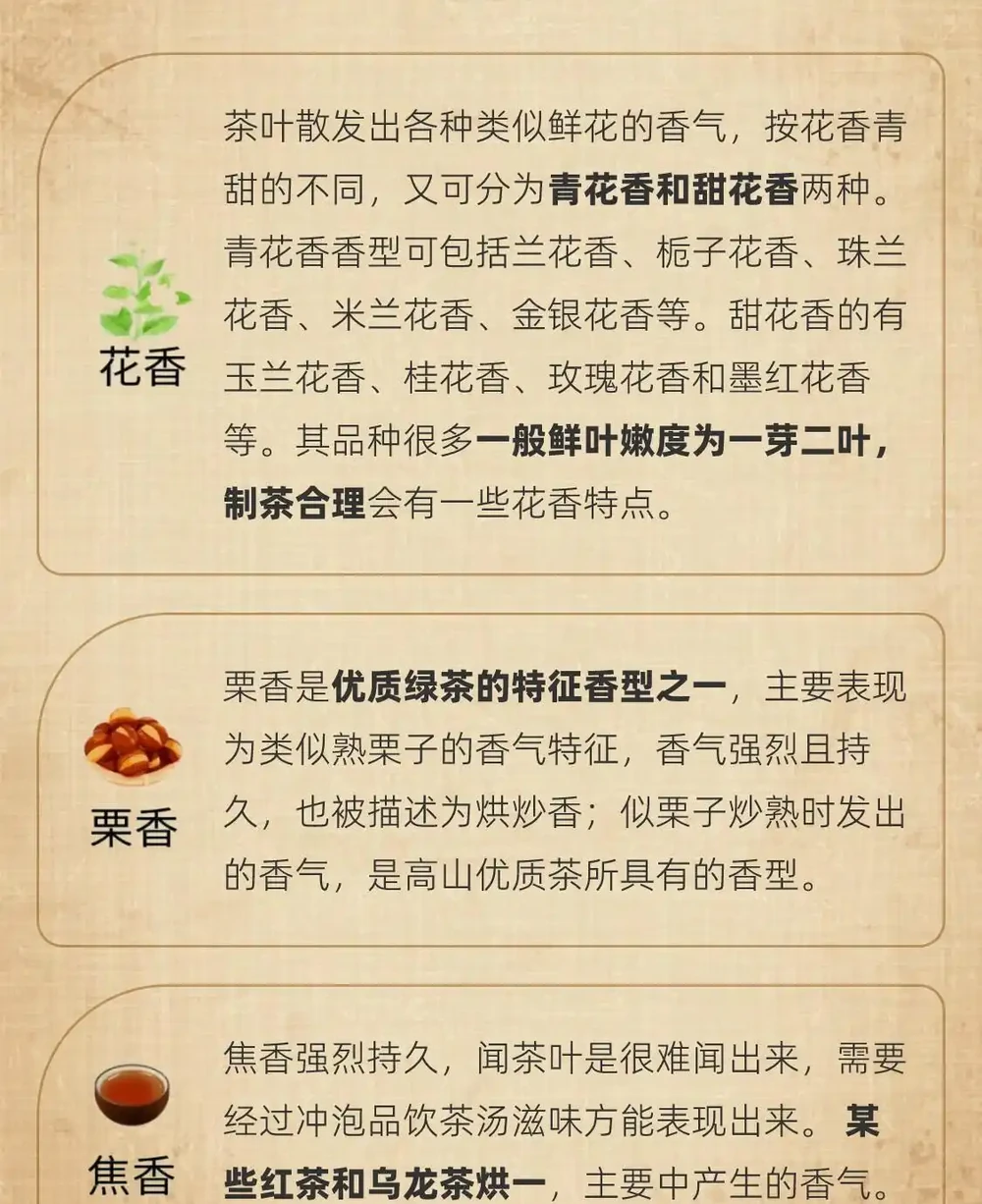 茶葉37種香氣全解析｜看完秒變品茶達人
