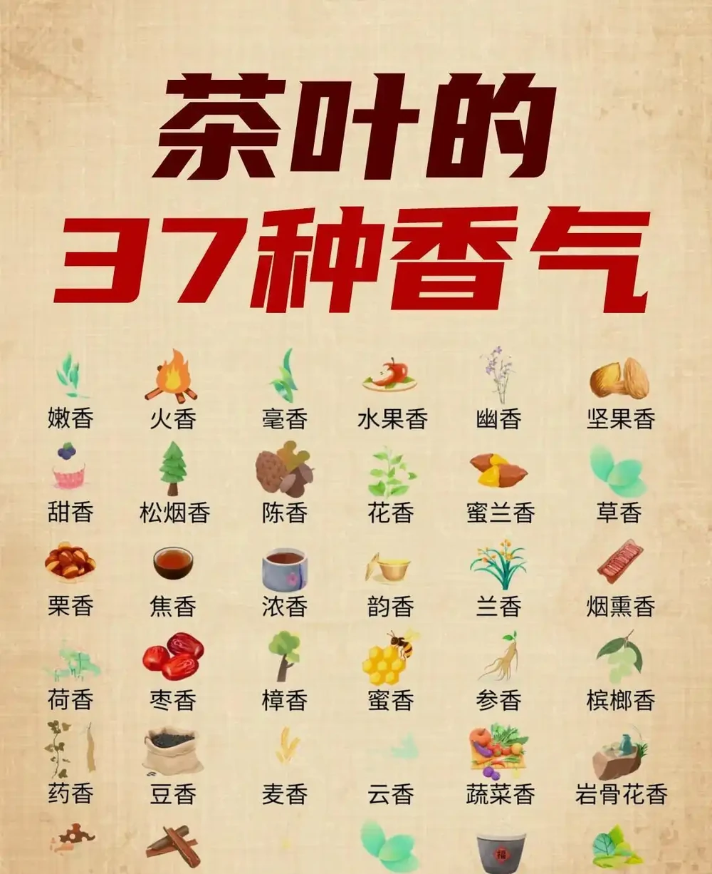 茶葉37種香氣全解析|看完秒變品茶達人