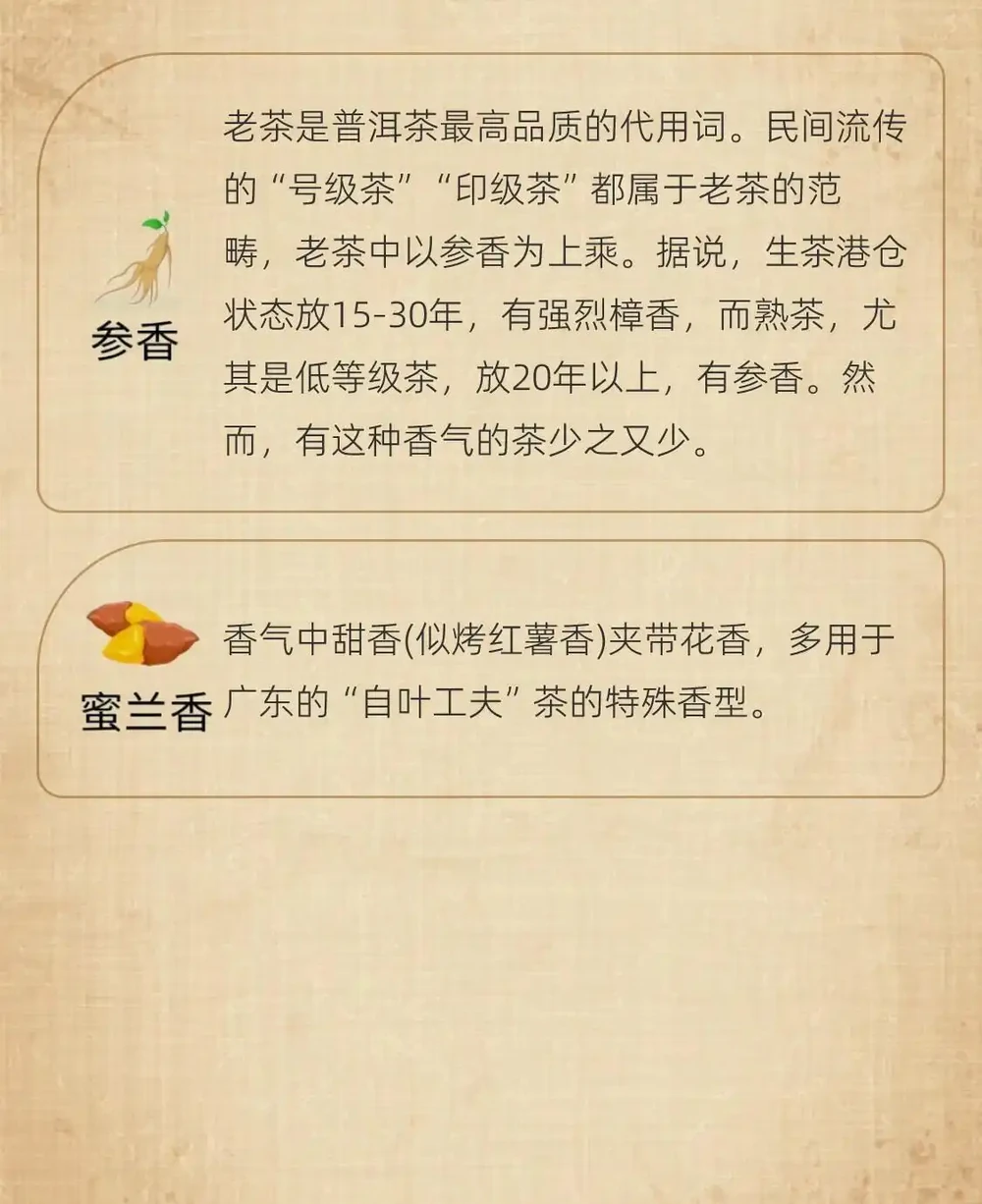 茶葉37種香氣全解析|看完秒變品茶達人