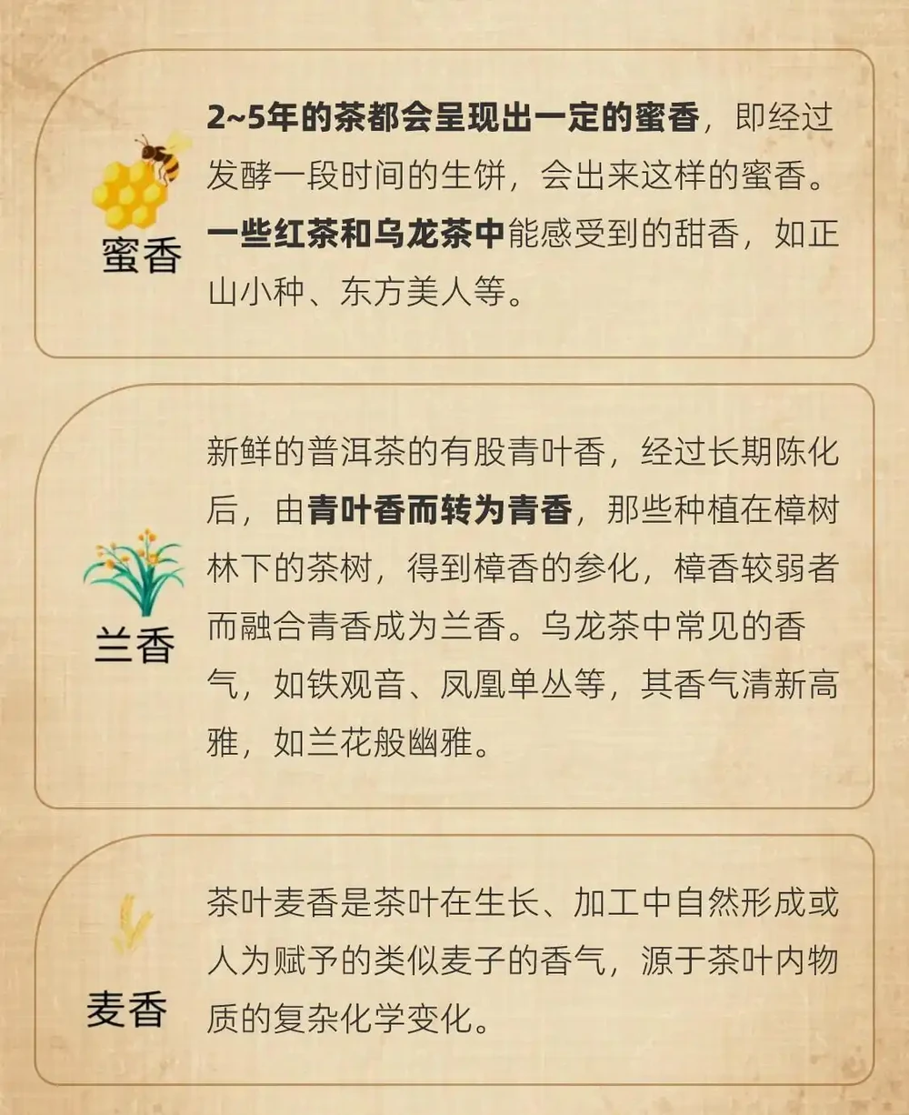 茶葉37種香氣全解析|看完秒變品茶達人