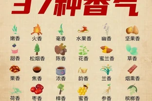 茶葉37種香氣全解析｜看完秒變品茶達人