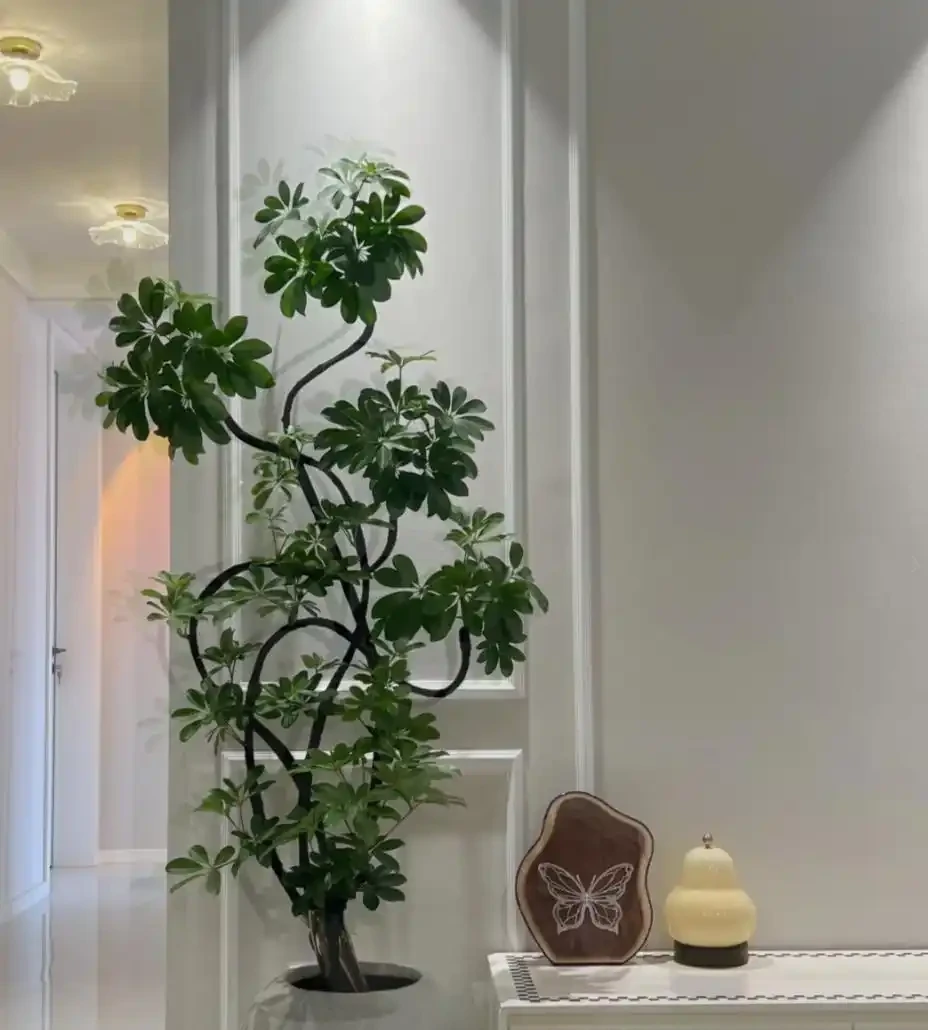 能淨化空氣的5種花,家裡養上一盆,越養空氣越清新!