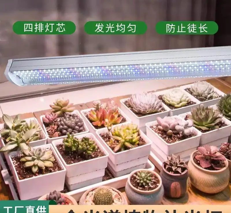 植物補光燈