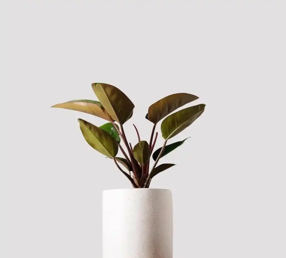 環境條件的觸發