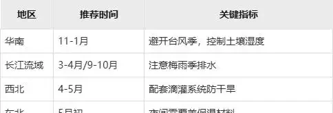 玫瑰栽種黃金期指南:這樣種提高成活率!