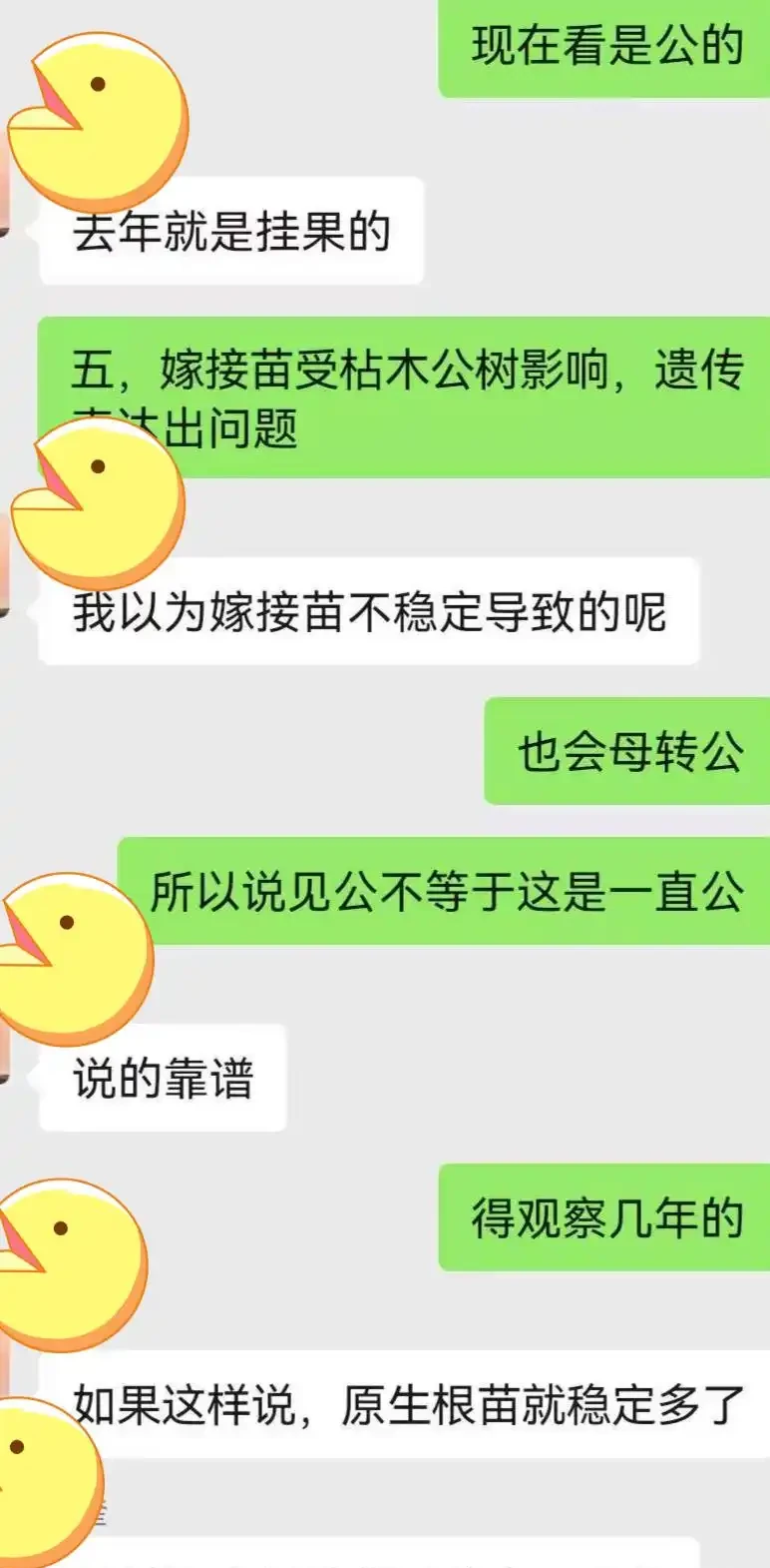 怎麼分辨老鴉柿公花母花？公（母）花一定就是公（母）樹嗎？