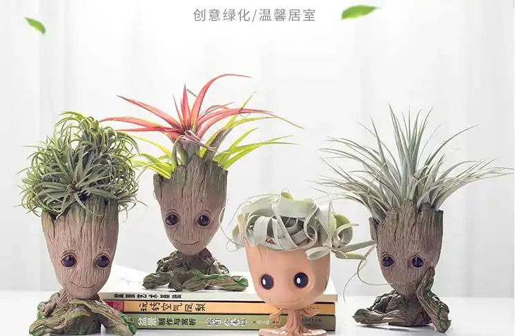 帶你認識10種懶人花卉,總有一種適合你!