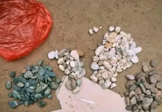 撿塊鵝卵石就能變花盆?低成本打造高顏值花園秘籍來了!