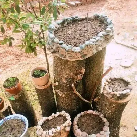 撿塊鵝卵石就能變花盆?低成本打造高顏值花園秘籍來了!