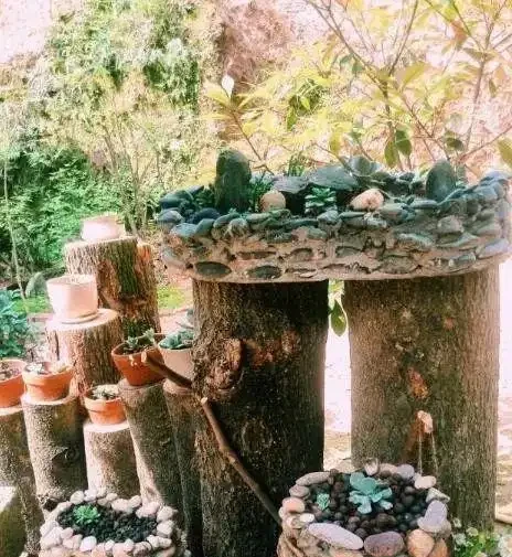 撿塊鵝卵石就能變花盆?低成本打造高顏值花園秘籍來了!
