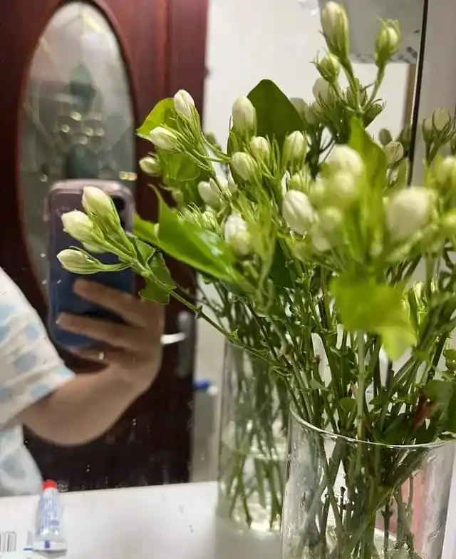 7種花就是「大酒鬼」,喝酒就瘋長,定期補一補,花朵比葉子還多
