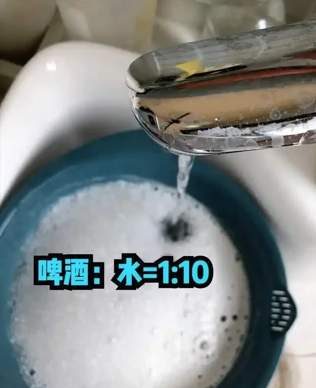 7種花就是「大酒鬼」,喝酒就瘋長,定期補一補,花朵比葉子還多