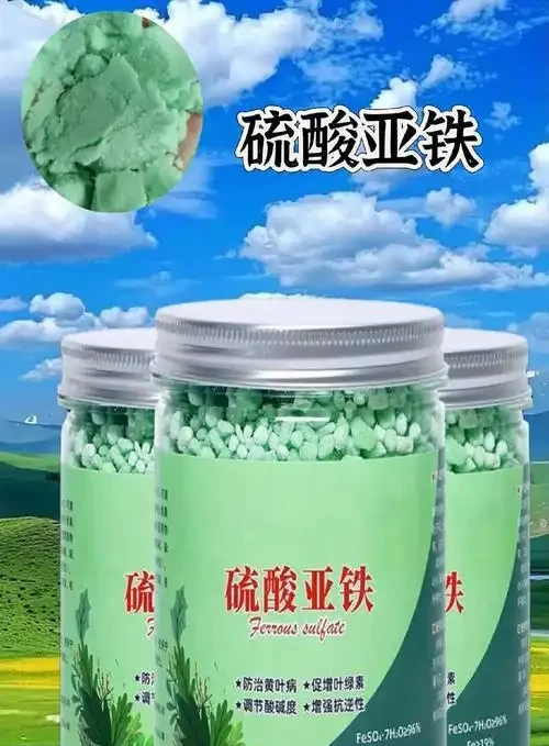 硫酸亞鐵適合哪些植物?