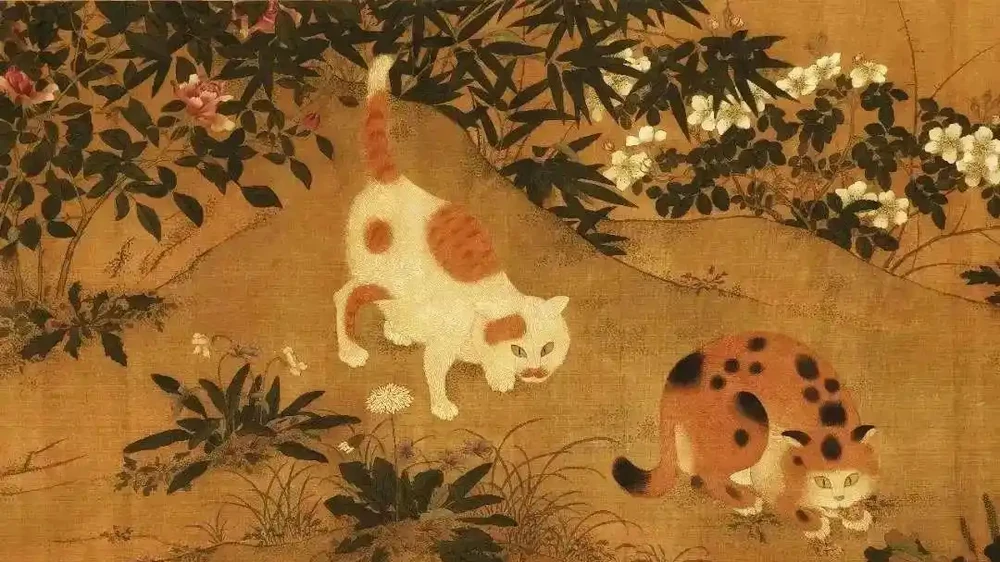 玫瑰、月季、薔薇怎麼區分？你拍到的花真是月季嗎？