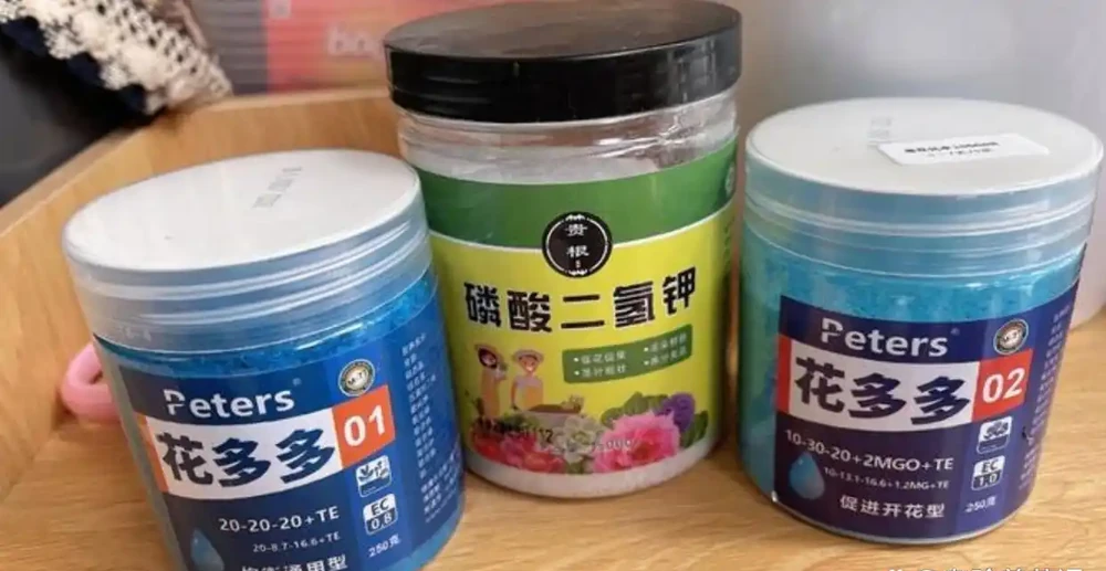 養花人必不可少的「3種」促開花肥，很多人都不知道，難怪不開花