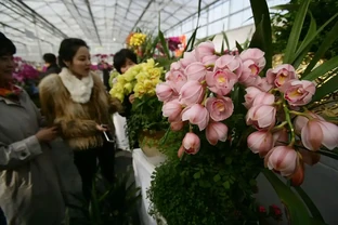 揭秘！花離開水能活多久？3技巧延長保鮮期