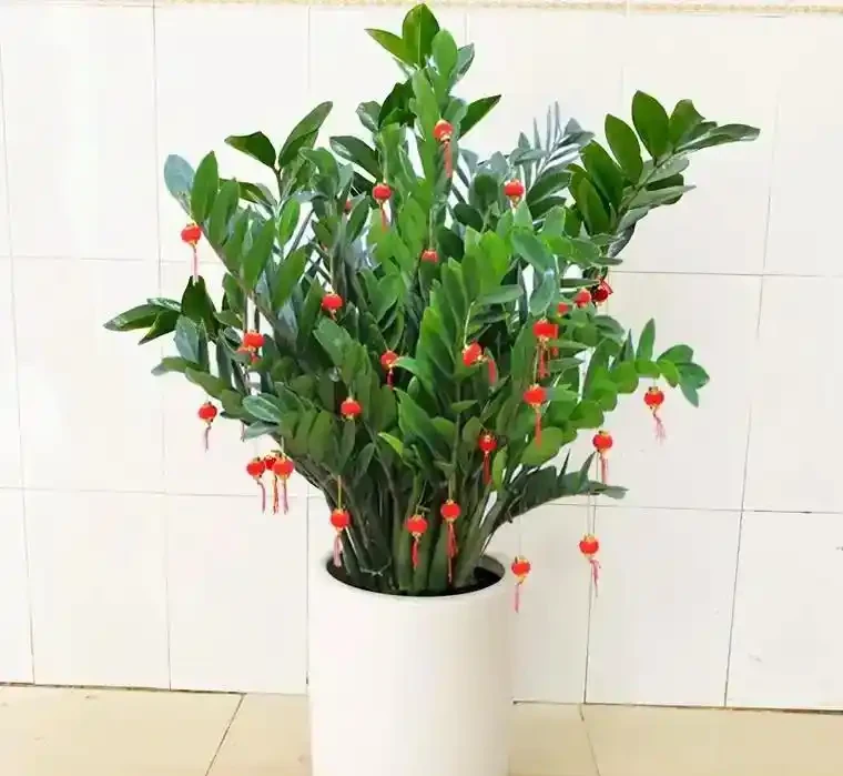 招財納福的 6 種花，春天養一盆在家，旺宅旺家，好運不斷！