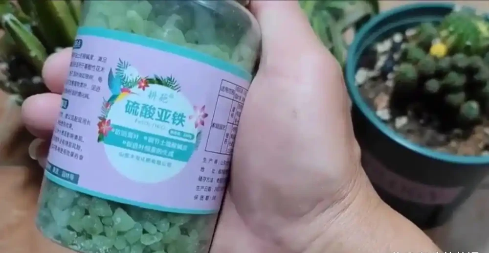 這3種花千萬別使用「硫酸亞鐵」,用了反而黃葉不開花,要謹記