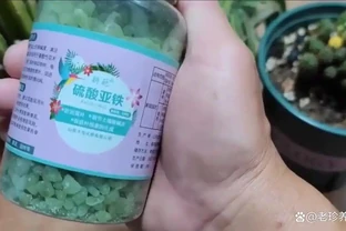 這3種花千萬別使用「硫酸亞鐵」，用了反而黃葉不開花，要謹記