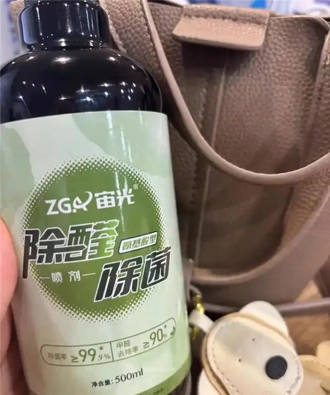 吸甲醛植物十強出爐,黃金葛慘遭 「擠出」 前三,第一名實力逆天