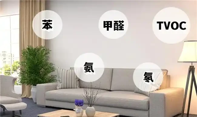 吸甲醛植物十強出爐,黃金葛慘遭 「擠出」 前三,第一名實力逆天