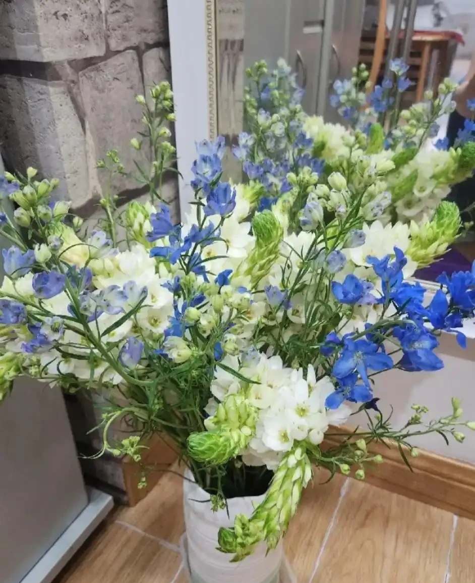 盤點最皮實的鮮花,最強悍的開了4個多月,純乾貨