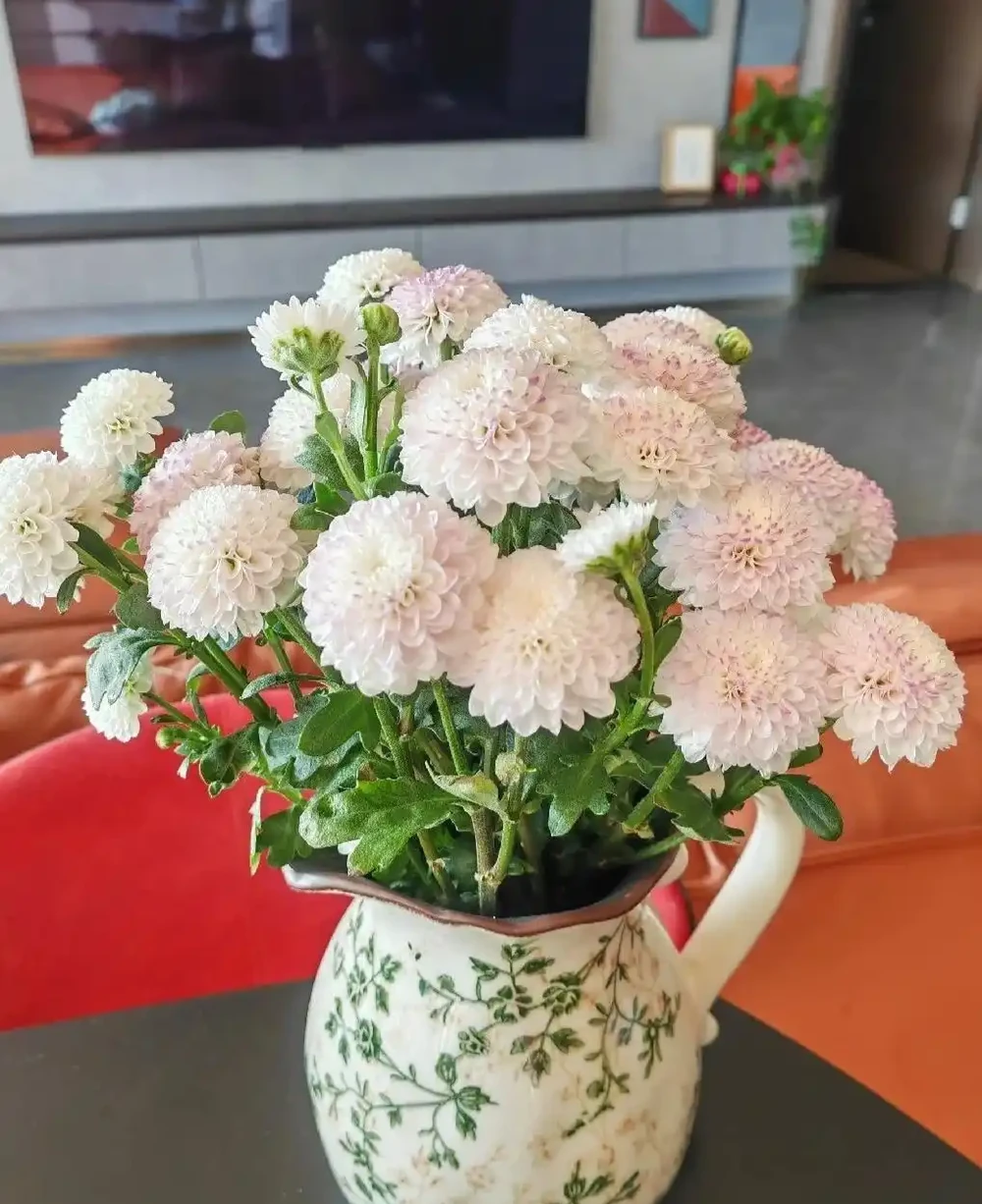盤點最皮實的鮮花,最強悍的開了4個多月,純乾貨