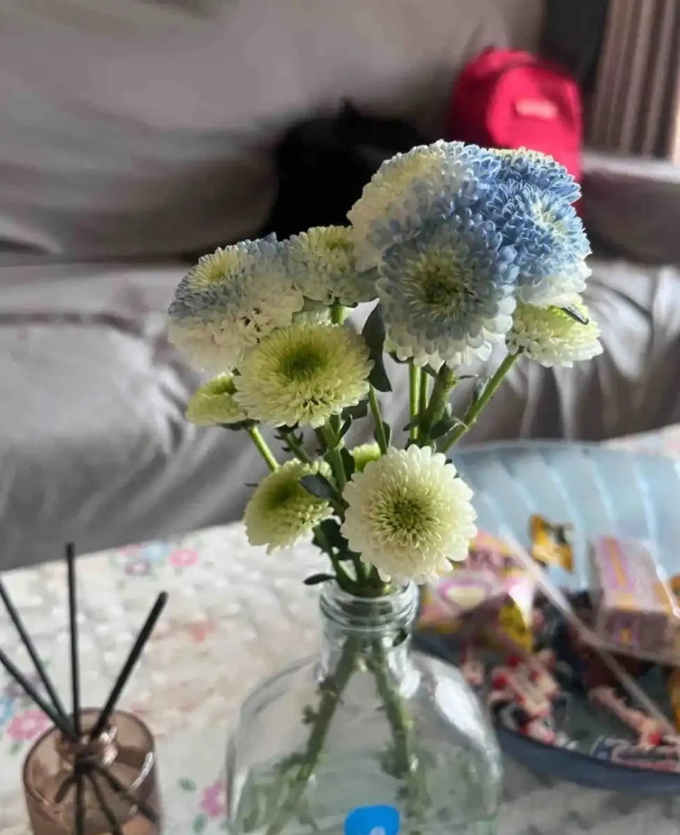 盤點最皮實的鮮花,最強悍的開了4個多月,純乾貨