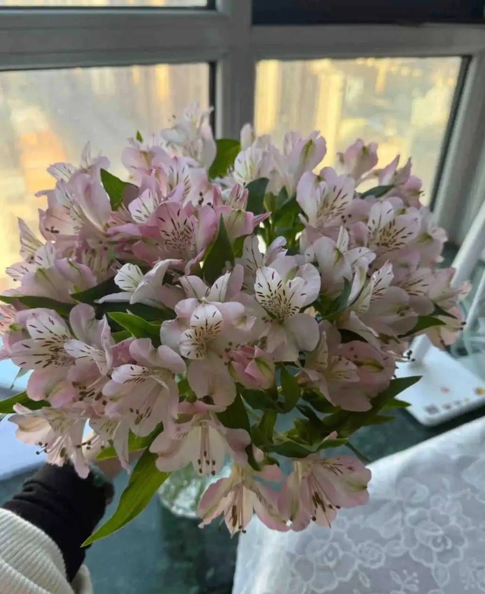 盤點最皮實的鮮花,最強悍的開了4個多月,純乾貨