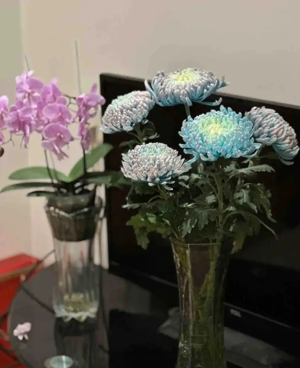 盤點最皮實的鮮花,最強悍的開了4個多月,純乾貨