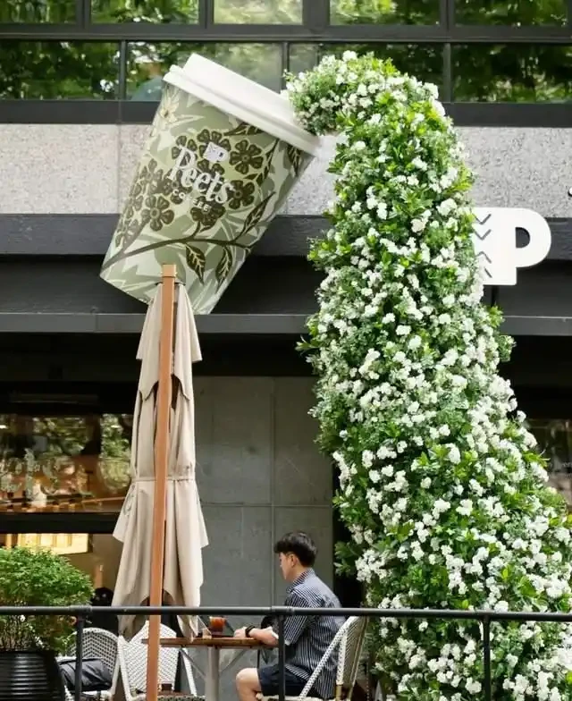 高溫40℃也不怕!這7種「曬不死」的開花機器,越熱越滿盆!