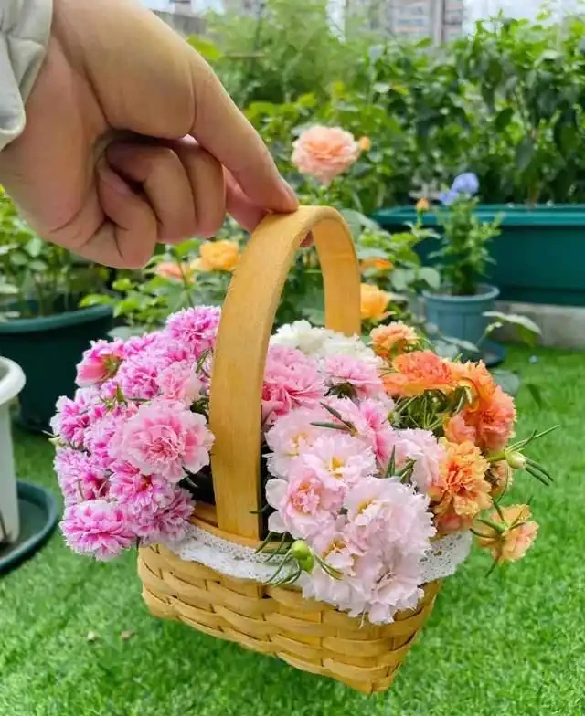 高溫40℃也不怕!這7種「曬不死」的開花機器,越熱越滿盆!